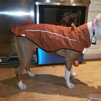 Mile High Life Dog Raincoat - XXS Chest 16"-19" / Brown - image 4