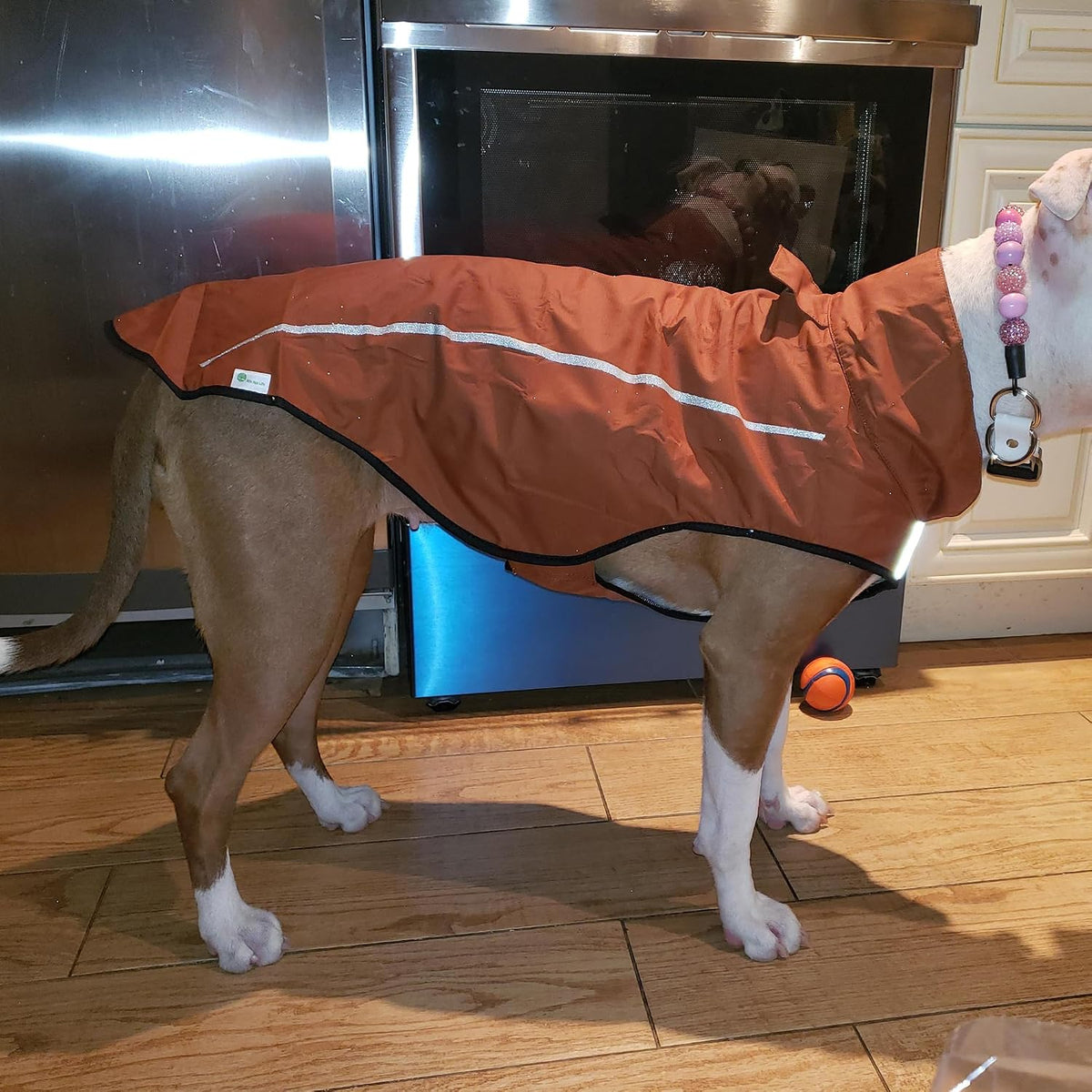 Mile High Life Dog Raincoat - XXS Chest 16"-19" / Brown - image 4