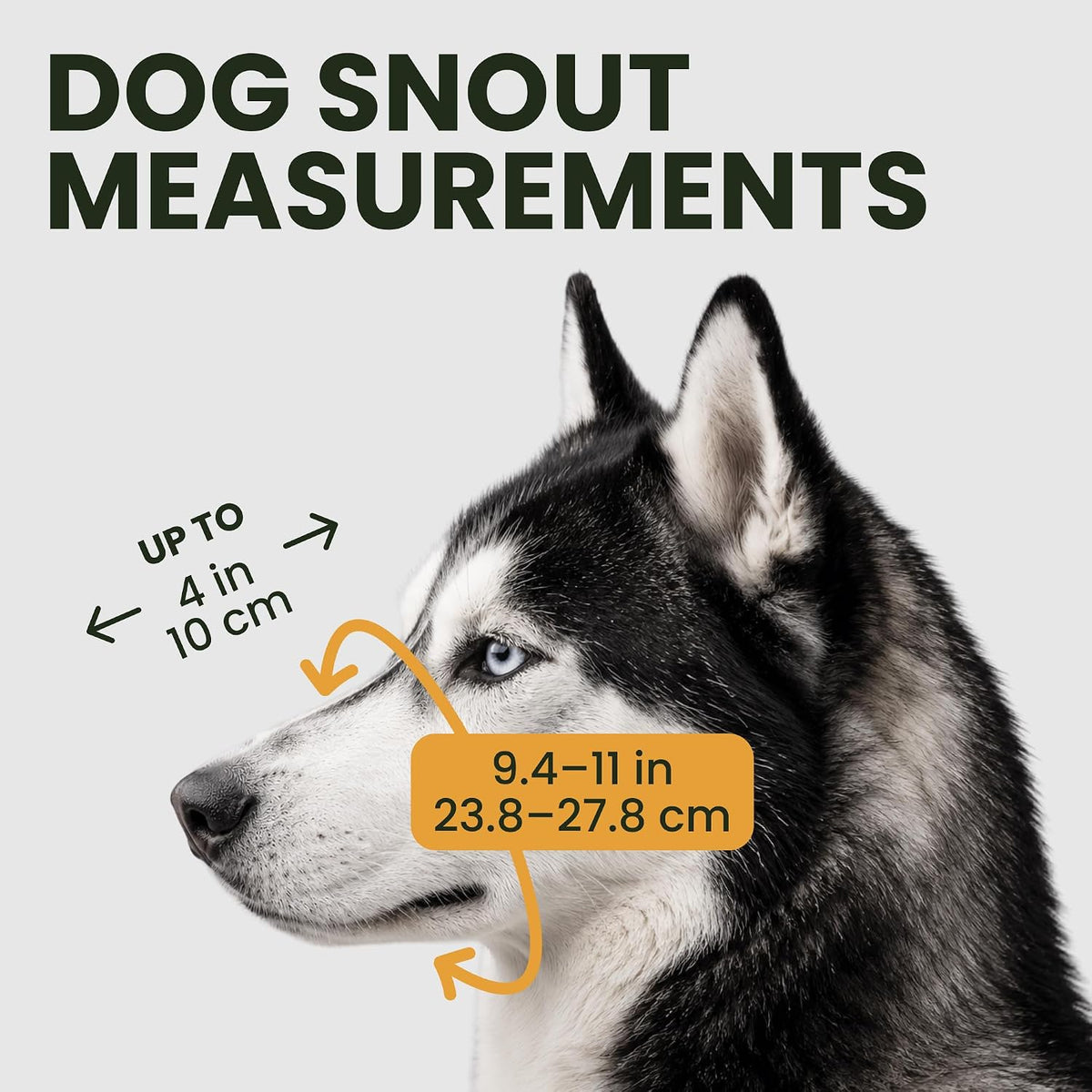 Stainless Steel Wire Basket Dog Muzzle for Husky – Essentials for Dogs - Polyvinyl Chloride (PVC) / Husky - image 2