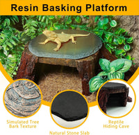 Bearded Dragon Basking Platform - XL: 11×7×3.5 inch | Style-B - image 4