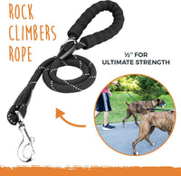 Mighty Paw Double Dog Leash - Double Leash w/ Rope Handle / Standard | Dogs 30+ lbs - image 3