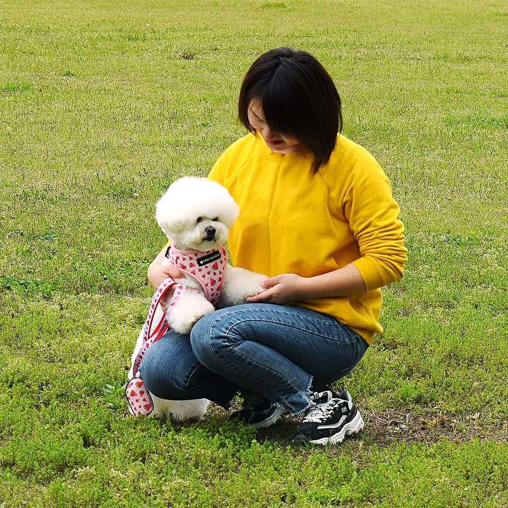 Dog Harness and Leash Set, Adjustable Dog Harness, Dog Leash - Watermelon / S(Chest 13 - 19", Neck 9.5 - 13.1") - image 4