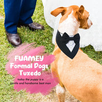 Dog Tuxedo for Small Dogs Valentines Bandana with Bowtie Wedding Tux – Essentials for Dogs - Black / X-Large - image 4