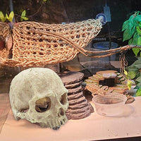 Bearded Dragon Hammock,Lizard Lounger Reptile Tank Hanging Plants Climbing Jungle Vines Flexible - Type：Triangular hammock with skull - image 4