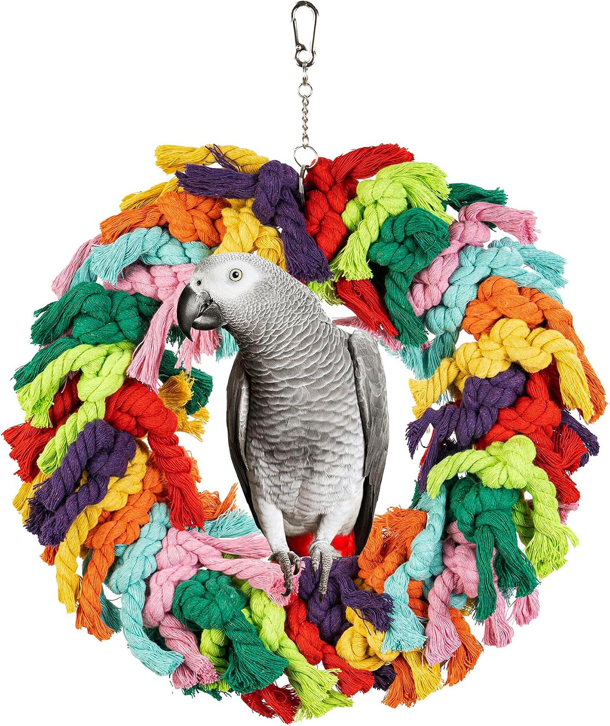 Parrot Swing for Large Birds – Essentials for Birds - Parrot Swing (Standard)
