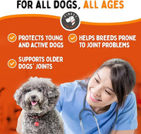 Rejenease Liquid Glucosamine for Dogs with Chondroitin, MSM & Hyaluronic Acid – Finest For Pets Hip & Joint Supplement for Dog Joint Support, Mobility, Stiffness & Pain Relief (32 oz, Made in USA)