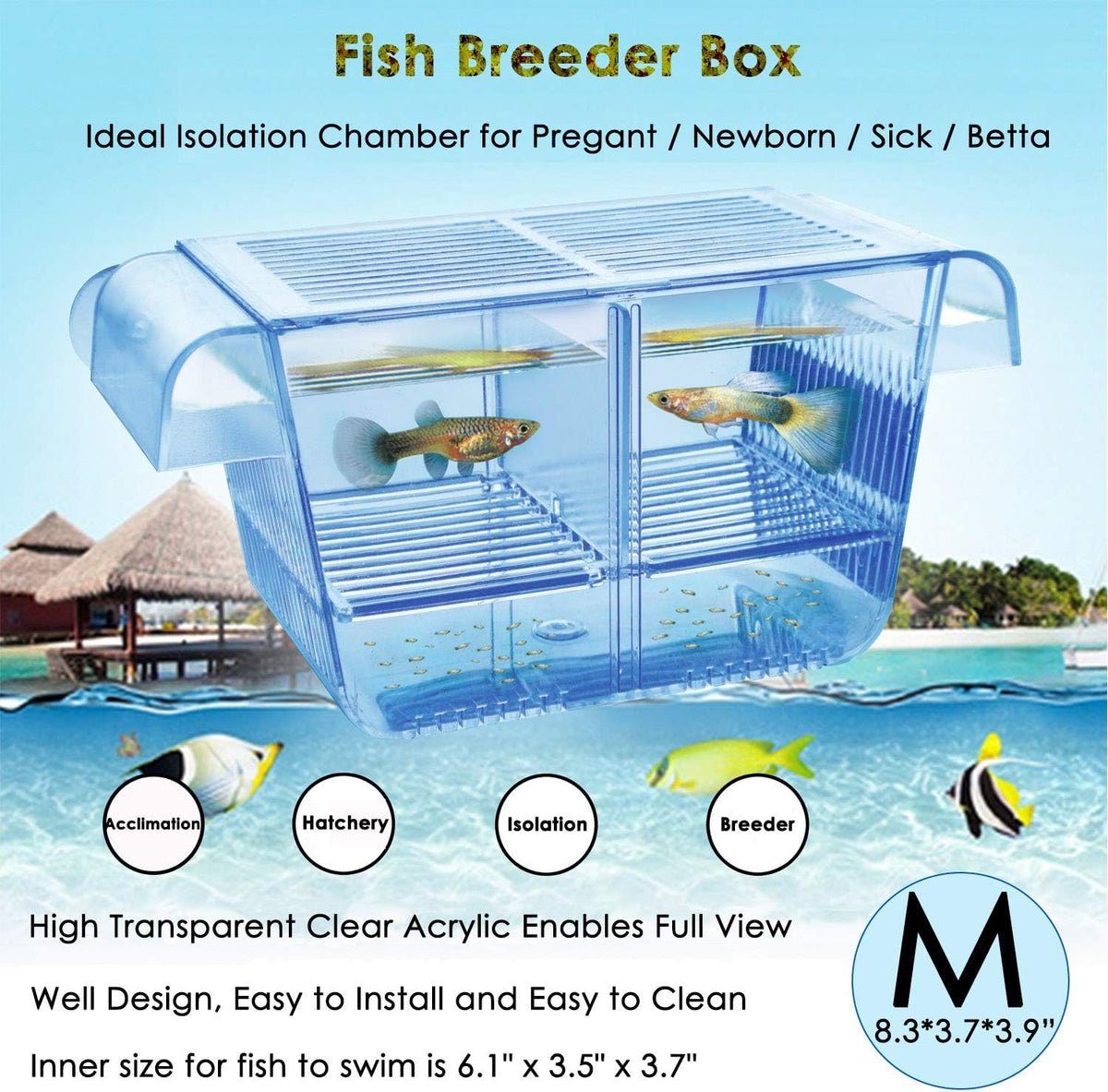 capetsma Fish Breeding Box - M
