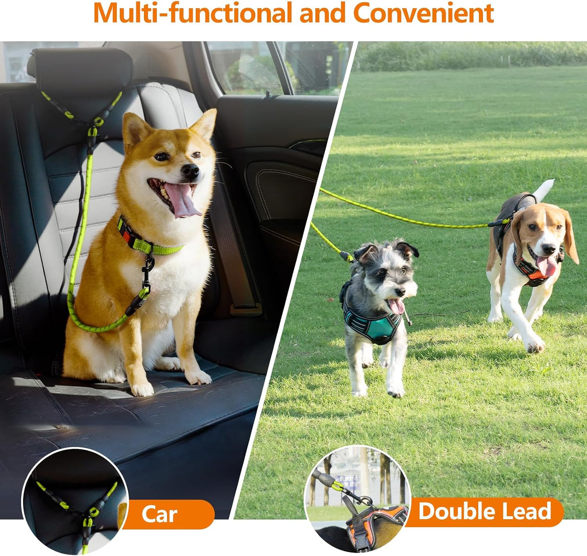 Taglory Double Dog Leash Coupler for Two Dogs - 30 Inch (Pack of 1) / Green - image 3