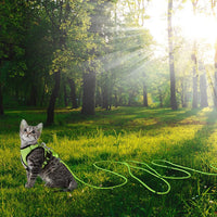 Reflective Cat Leash 50FT Cat Cable Out Escape Proof Walking Leads - 15FT / Green - image 4