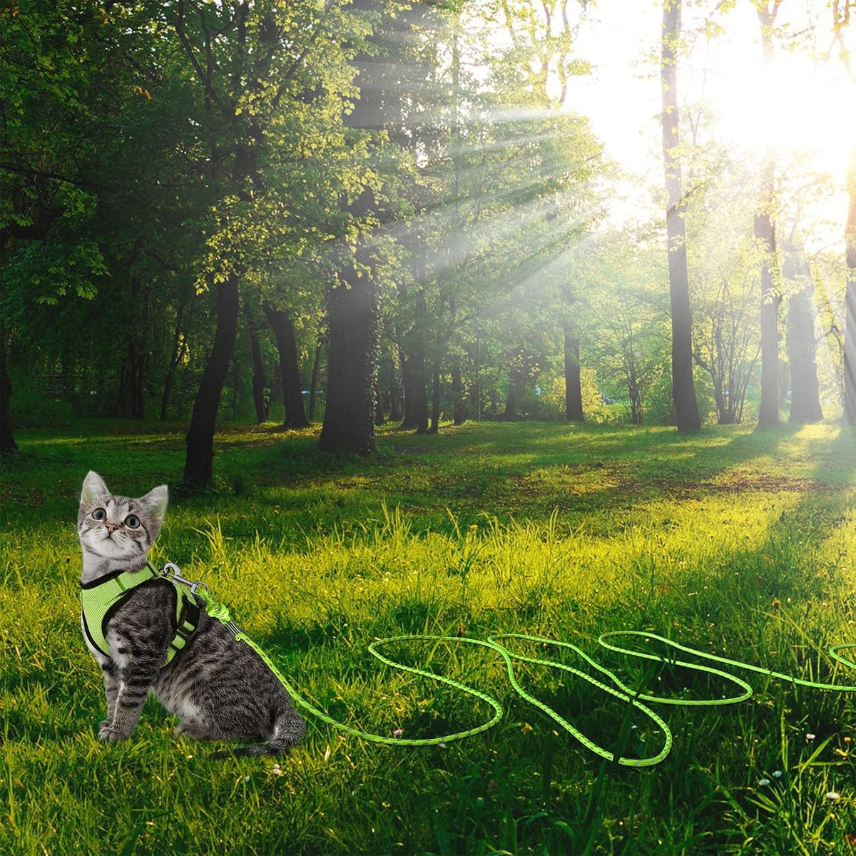 Reflective Cat Leash 50FT Cat Cable Out Escape Proof Walking Leads - 15FT / Green - image 4