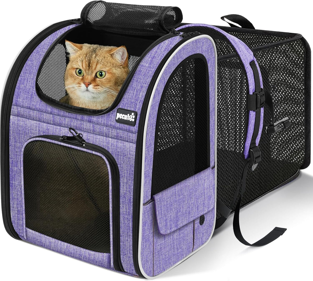 pecute Cat Backpack Expandable - Purple / 12.6"L x 10.2"W x 16.5"H / Mesh Window