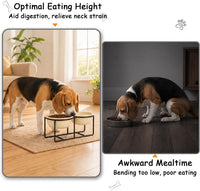 Ceramic Elevated Dog Bowls with Stand - Beige / L × 2 - image 3