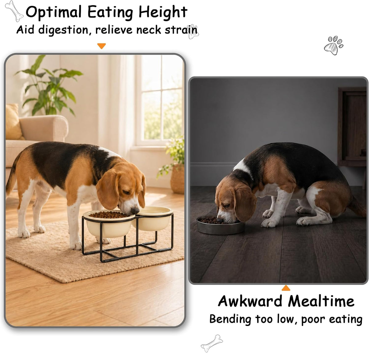 Ceramic Elevated Dog Bowls with Stand - Beige / L × 2 - image 3