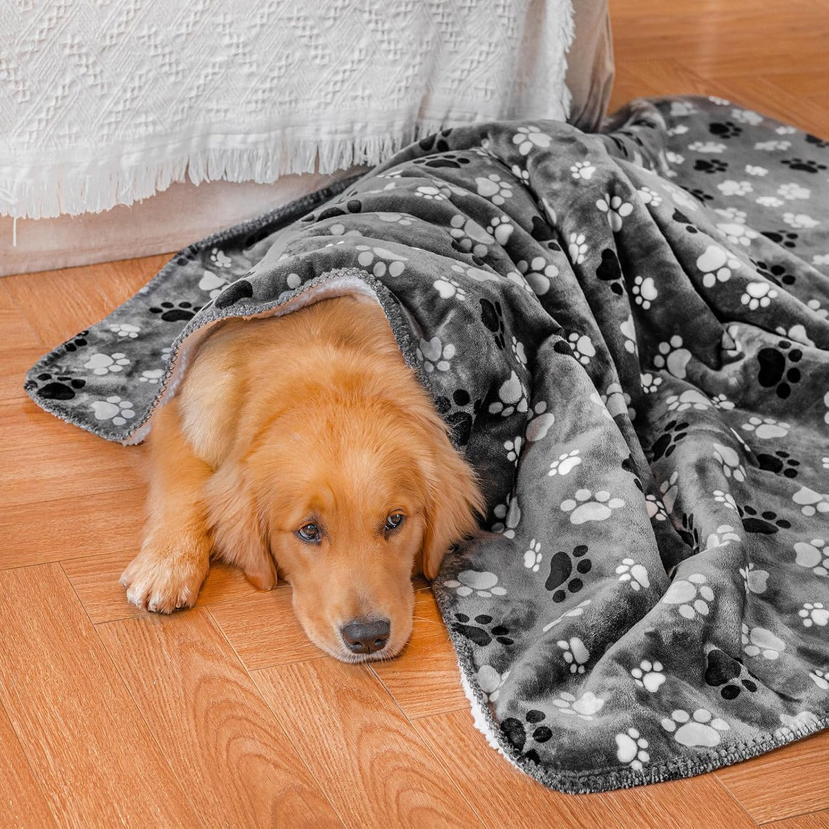 Waterproof Dog Blanket 60x50 Inches - Grey-paw / Small (25x30) - image 3