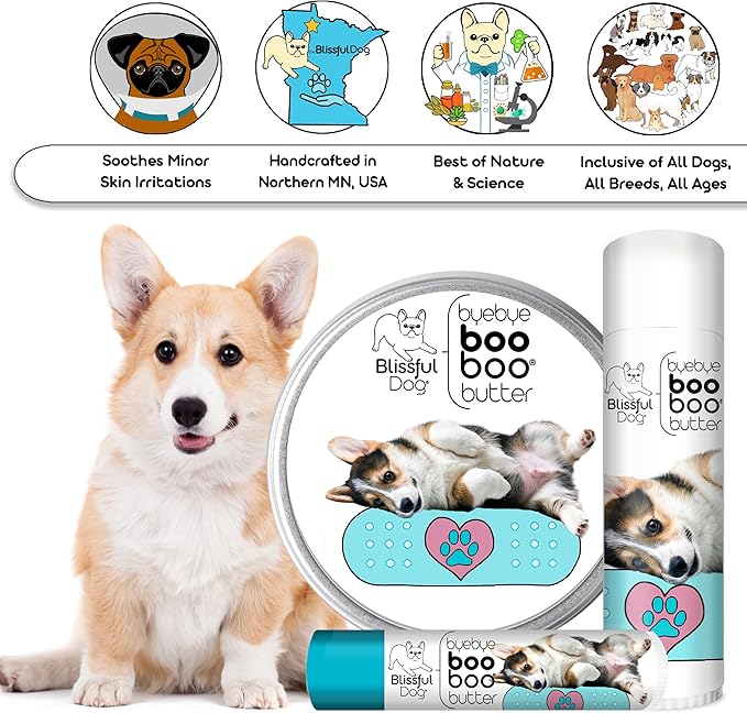 The Blissful Dog 4 oz TIN Corgi Booboo Butter