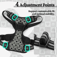 rabbitgoo Dog Harness, No Pull for Large Dogs with 2 Leash Clips - X-Large / Black Grid - image 4