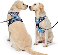 NESTROAD Dog Harness for Medium Sized Dog - Checkered Blue / Small - image 4