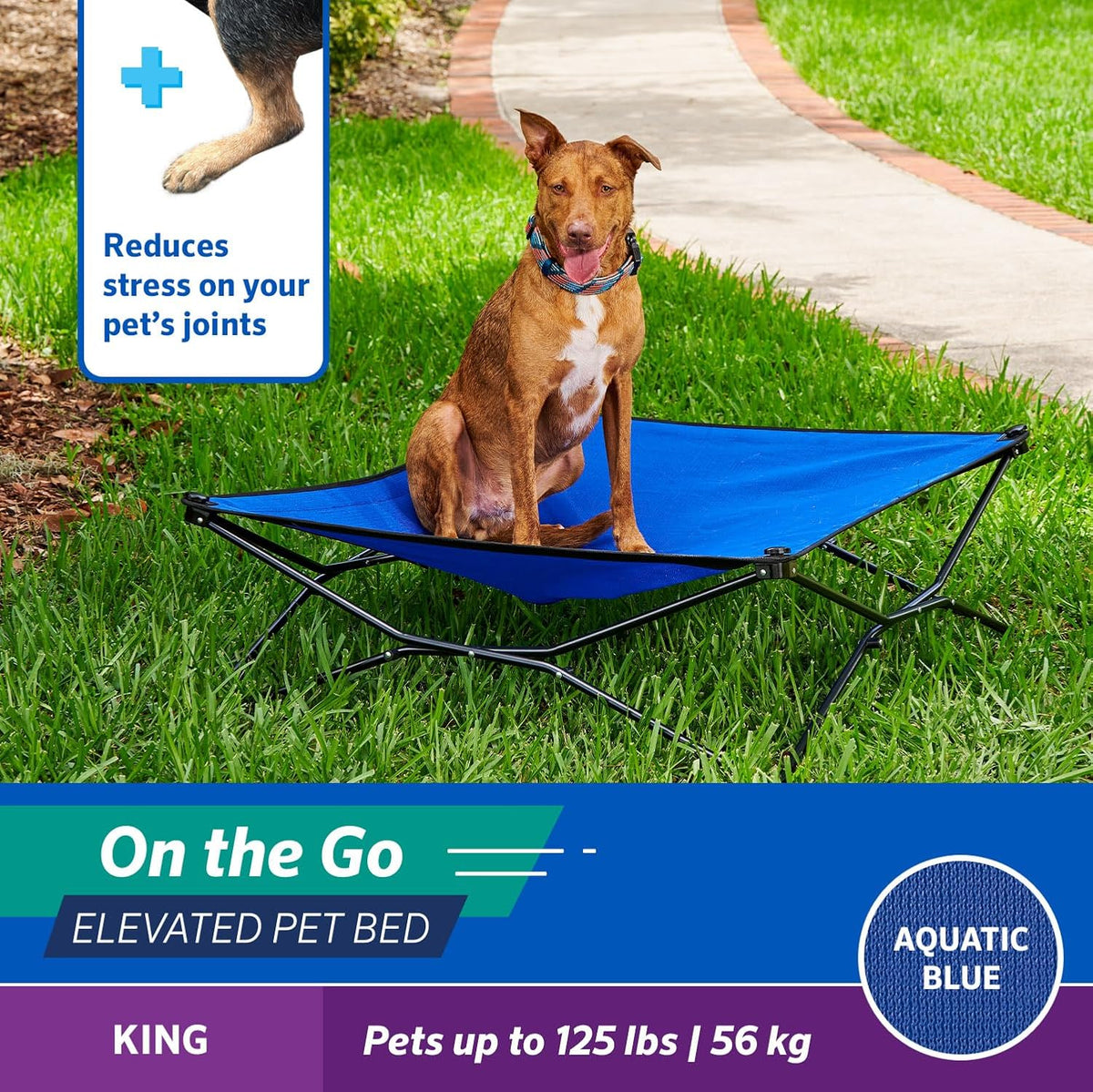 Coolaroo On-The-Go Elevated Dog Bed - King / Aquatic Blue - image 3