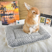Small Animal Bed Mat, Soft & Warm, Suitable for Guinea Pig - XX-Large(19.7''x15.7'') / Mesh Grey - image 2