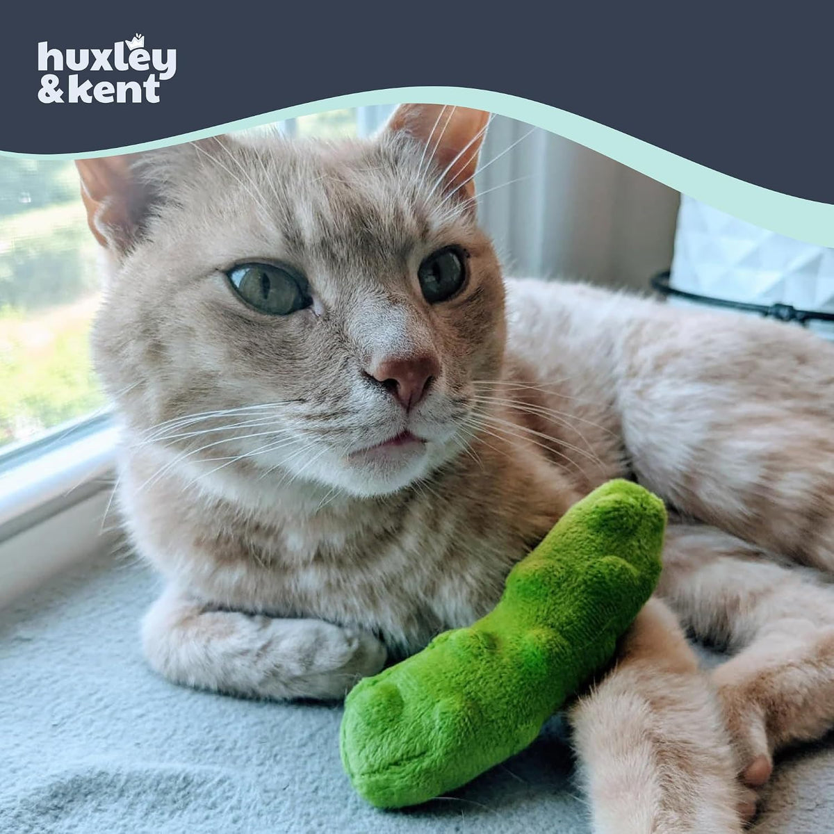 Huxley & Kent Plush Cat Toy - Pickle - image 4
