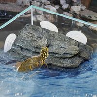 Turtle Basking Platform,Resin Bearded Dragon Basking Platform Reptile Habitat Cave Climbing Ramp - Platform / Gray