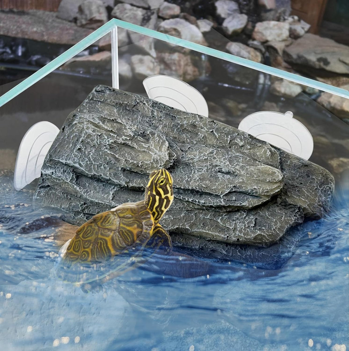 Turtle Basking Platform,Resin Bearded Dragon Basking Platform Reptile Habitat Cave Climbing Ramp - Platform / Gray