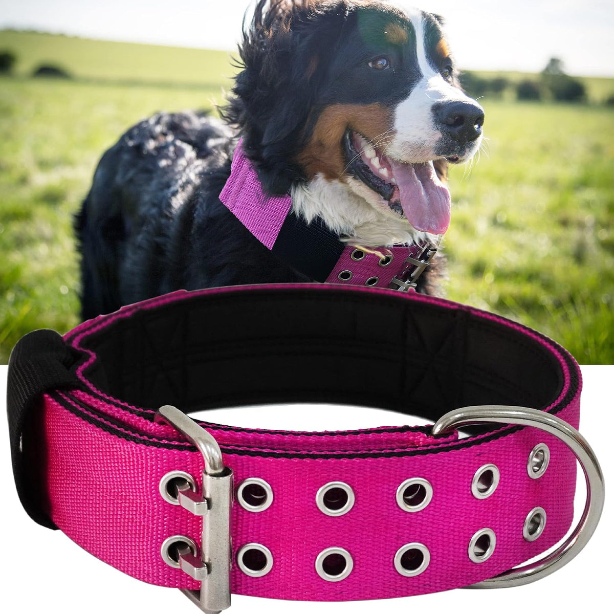 Dog Collar for Large Dogs, with Handle 2" Wide Heavy Duty - Pink / L