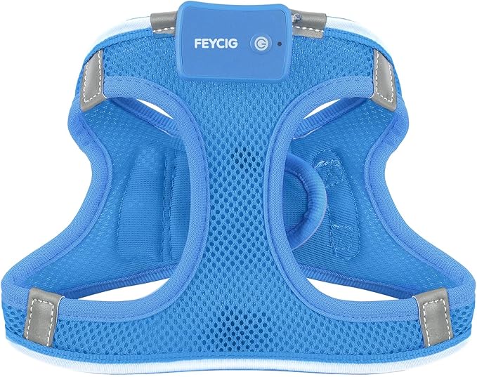 Light Up Dog Harness,Rechargeable LED Dog Harness for Small Medium Large Dogs,Reflective Lighted Safety Vest for Night Walking & Camping,Lightweight & Adjustable,Sky Blue,L