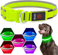 LED Dog Collar, Light Up Dog Collar USB Rechargeable, Brightest Dog Lights for Night Walking, Adjustable Dog Collar Light for Dog Safety(Medium, Neon Green)