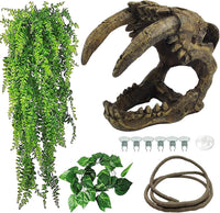 kathson Reptile Resin Dinosaur Skull Decoration Bearded Dragon Tank - Type：sabertooth tiger-C