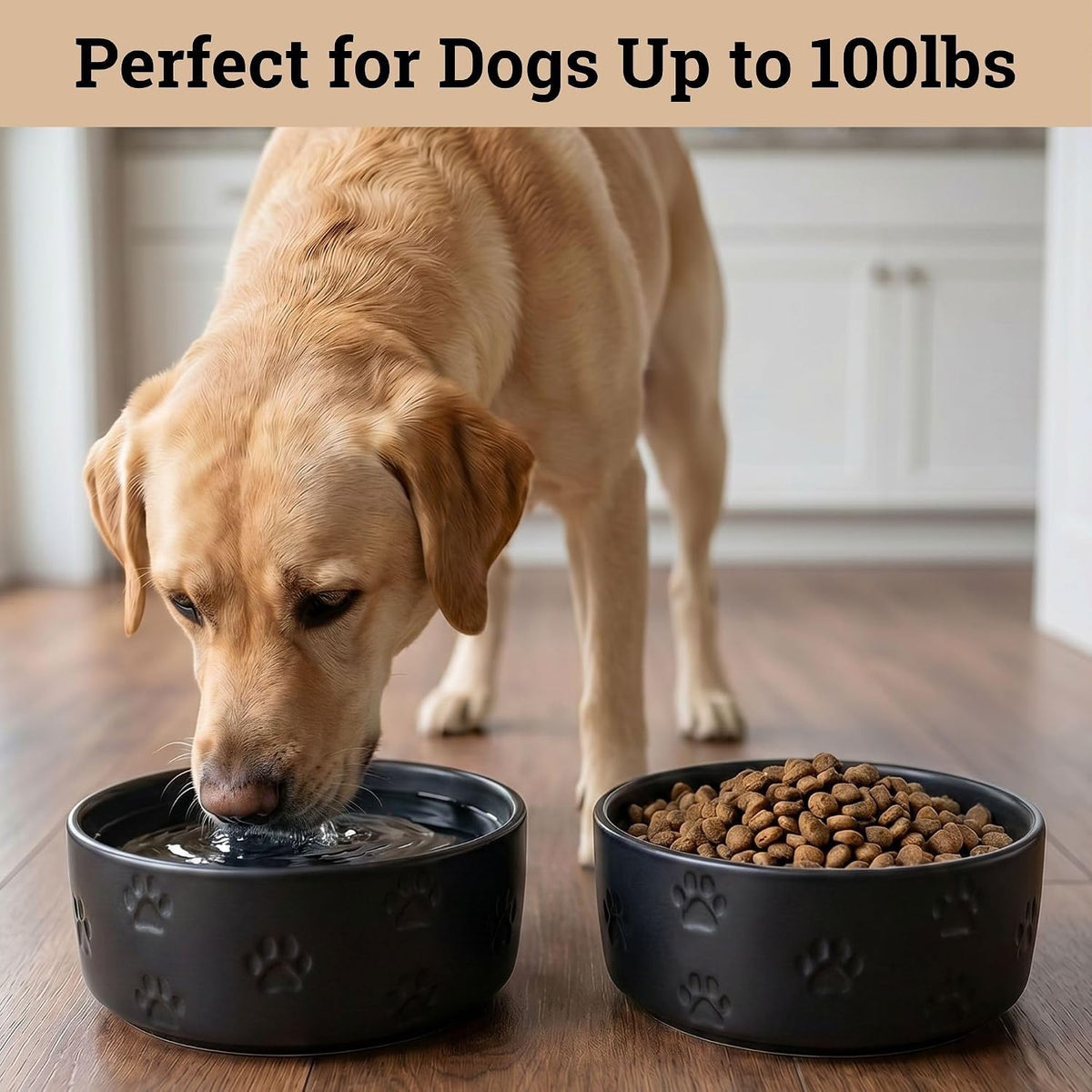 Ceramic Dog Bowl Set of 2 with Anti-Skid Base, 5.5"W x 2"H - Large / Black - image 3