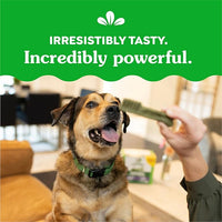 Greenies Weight Management Large Dog Dental Chews Weight Control Dog Treats, 27 oz. Pack (17 Treats)
