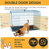 FDW Dog Crate for Medium Dogs 36 Inch Folding Metal WirePet Cage Double Door W/Divider Panel Indoor Outdoor Kennel Leak-Proof Plastic Tray,Blue
