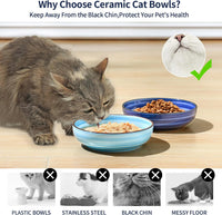 Selamica Ceramic Cat Bowls Set of 6 - 5.6 Inch, Set of 4 / Gradient Blue - image 4