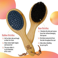 The Buddy System Combo Bristle Pet Brush, 2-in-1 Brush, Durable Rubber Side and Soft Boar Bristle Side - All Pets and Coat Lengths - Top Coat Massage for Cats & Dogs - 1 Pack
