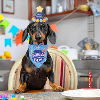 Dog Birthday Hat Bandana Set, Blue Plaid Boy Dog Bandana - Small / Sky Blue Boy - image 2