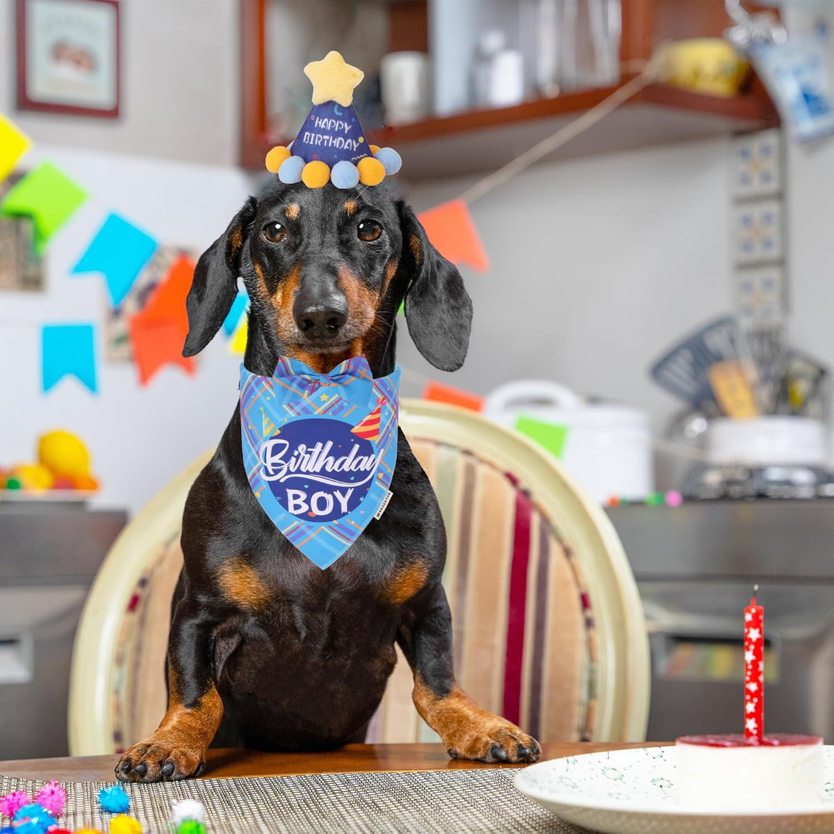 Dog Birthday Hat Bandana Set, Blue Plaid Boy Dog Bandana - Small / Sky Blue Boy - image 2
