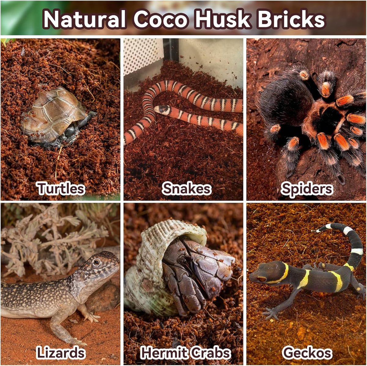 4 Pack Coconut Fiber Substrate - 2 Pack - image 4