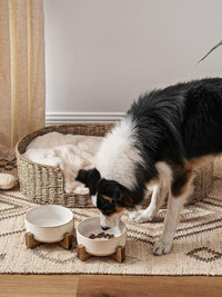 Ceramic Dog and Cat Bowl Set with Acacia Wood Stand - L-5 Cups / Lines+Dot - image 2