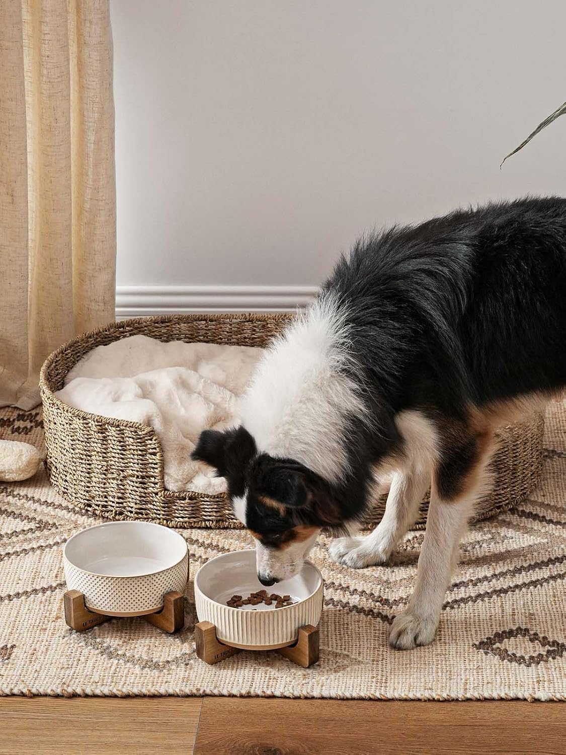 Ceramic Dog and Cat Bowl Set with Acacia Wood Stand - L-5 Cups / Lines+Dot - image 2