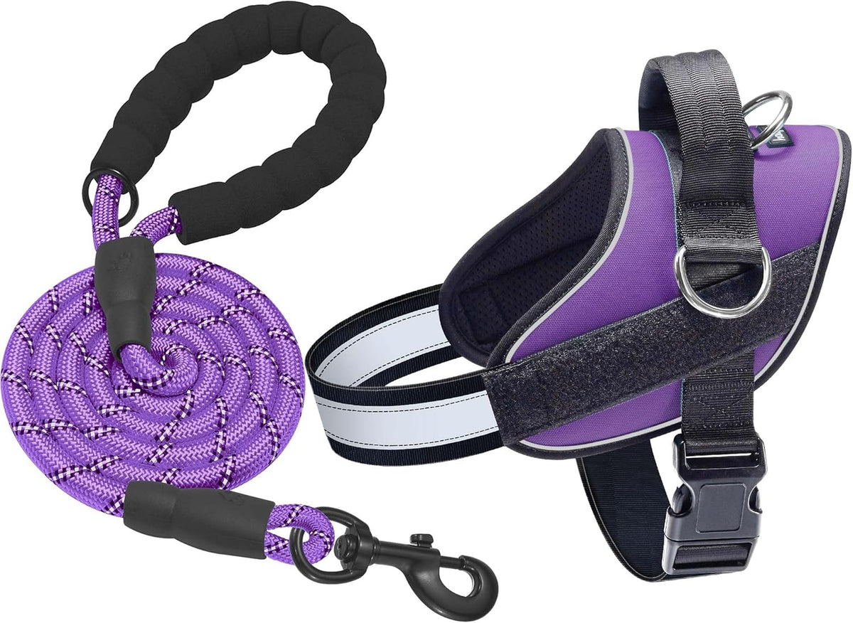 Haapaw Essential Dog Harness - M / Purple