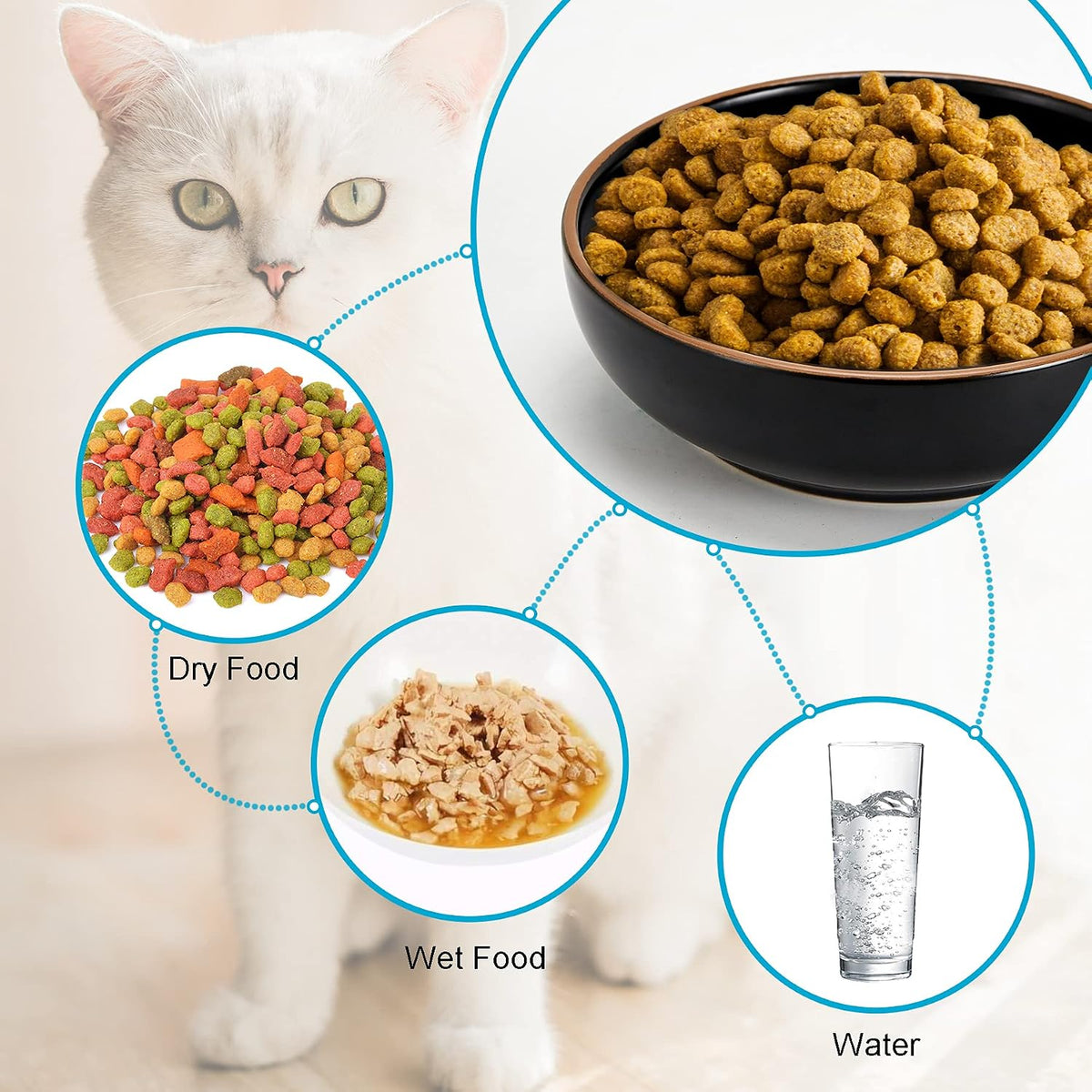 Ceramic Cat Bowls, Howise Pet Bowl Cat Dishes for Food and Water - black - image 2