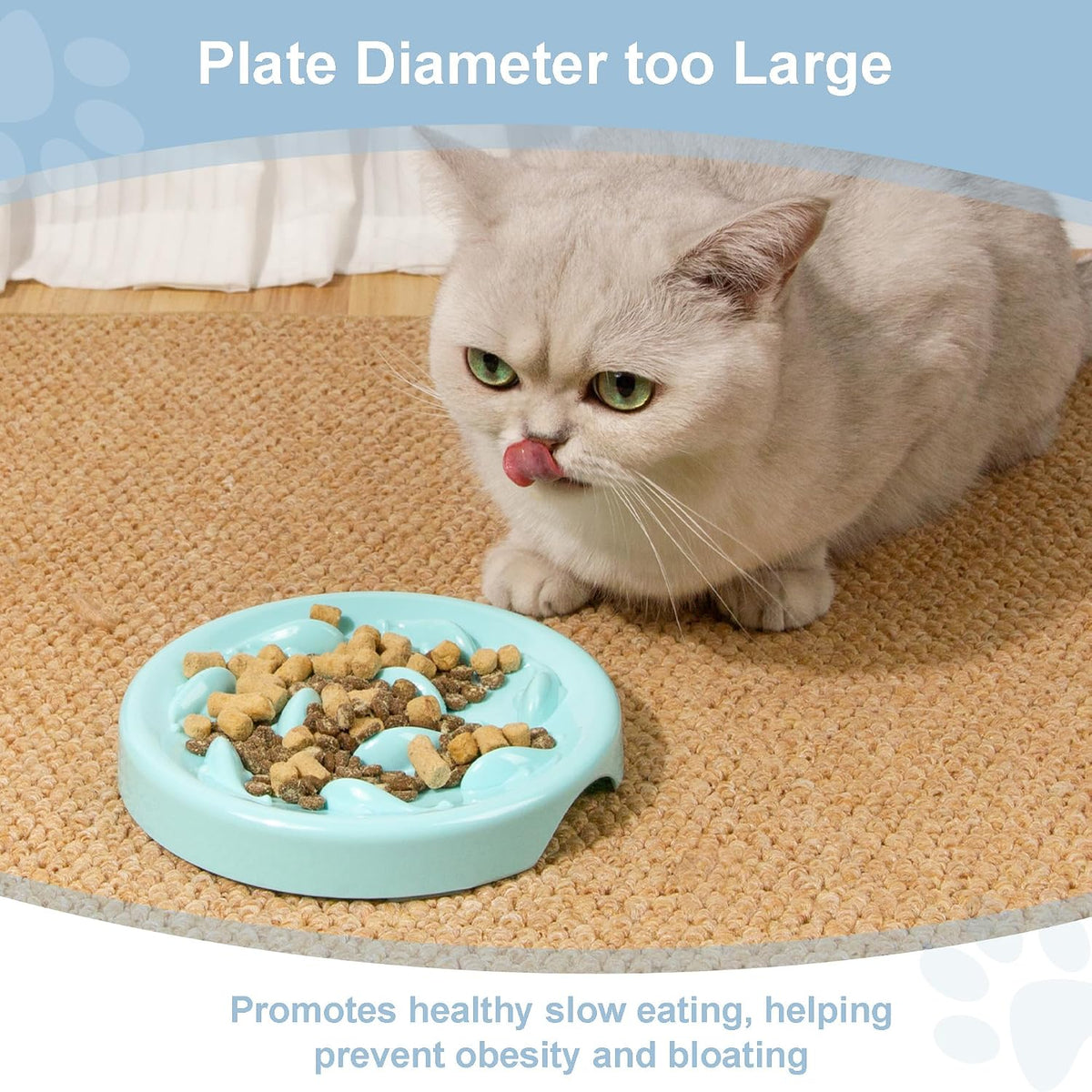 Slow Feeder Bowl for Cats and Small Dogs - Blue - image 2