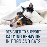 Nutramax Solliquin Calming Behavioral Health Supplement for Small to Medium Dogs and Cats - With L-Theanine, Magnolia / Phellodendron, and Whey Protein Concentrate, 75 Soft Chews