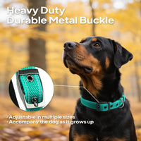 PetiFine Dog Collars for Medium Dogs - Teal / Large (19"-23") - image 2