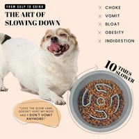 AVERYDAY Slow Feeder Dog Bowls for Large Breed - Slow Feeder Grey / 1.5 Cup - Fit 6.4-6.7'' Feeder Holes - image 2