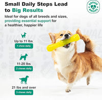 Doggie Dailies Puppy Probiotic, Probiotics for Puppies with Digestive Enzymes, Promotes Digestive Health, Supports Immune System & Overall Development (Pumpkin) 120 Soft Chews