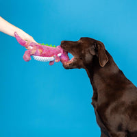 Fringe Studio Dog Plush Pet Toy with Squeaker - Embrace Your Colors - image 3