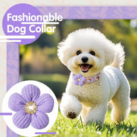 Medium Dog Collar with Flower - Purple / Small: for Small Dog - image 3