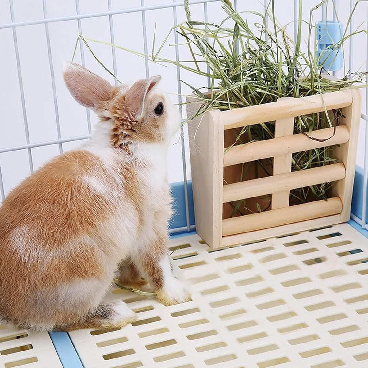 Bunny Hay Rack Guinea Pig Hay Feeder Chinchilla Hay Holder Rabbit - image 4